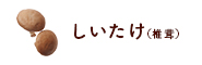 しいたけ（椎茸）