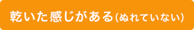 乾いた感じがある（ぬれていない）