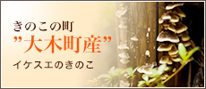 きのこの里”大木町産”イケスエのきのこ